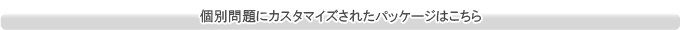 個別問題にカスタマイズされたパッケージはこちら 